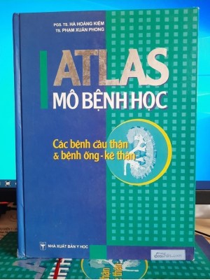 Atlas Mô bệnh học - Các bệnh cầu thận và bệnh ống - kẽ thận
