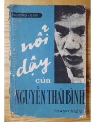 Nổi dậy của Nguyễn Thái Bình (1972)