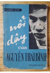 Nổi dậy của Nguyễn Thái Bình (1972)