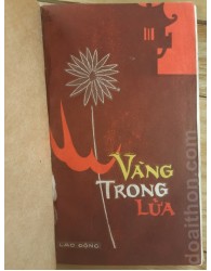 Vàng trong lửa (1973)