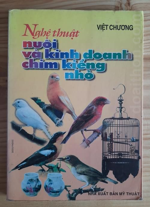 Các loại chim cảnh đẹp, dễ nuôi tại Việt Nam - META.vn