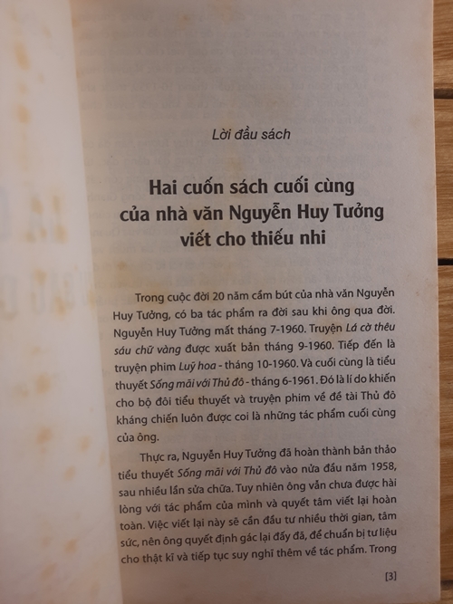 Lá cờ thêu 6 chữ vàng, Bố Cái Đại Vương, Trăng nước Chương Dương, Bà Triệu 3