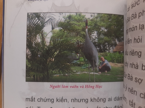 Khi mặt trời lên, Thầy Huyền Diệu 4