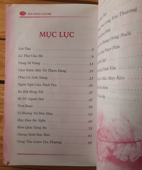 Nắng mẹ, mẹ và con trai 5